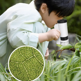 Handheld LED Mini Microscope (60×–200×) — Outdoor Exploration Toy for Kids